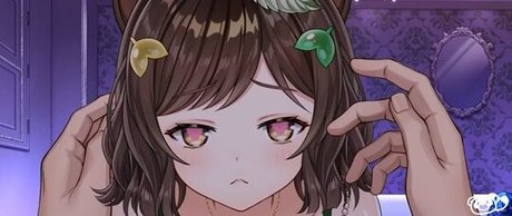 honda poko high quality star img