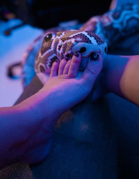 Anaisableal erotic star photo