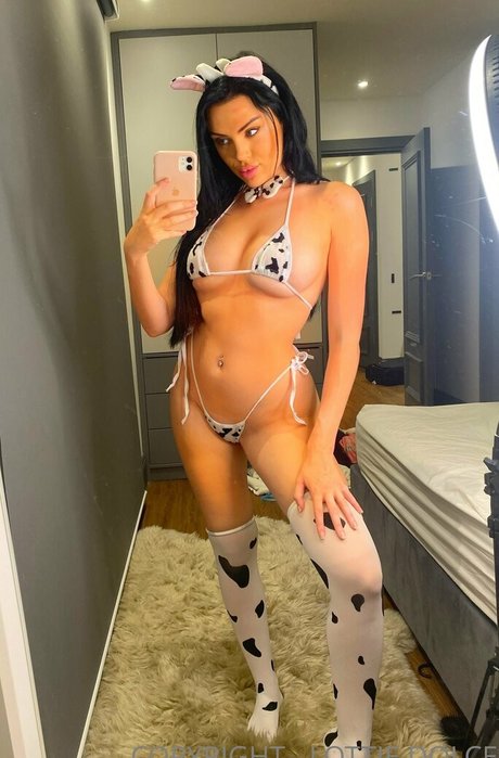 lottiedolce free star img