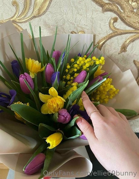 Ellie69bunny sexy star archive