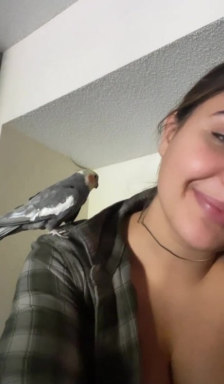 Amber Montana pornstar sexy archive