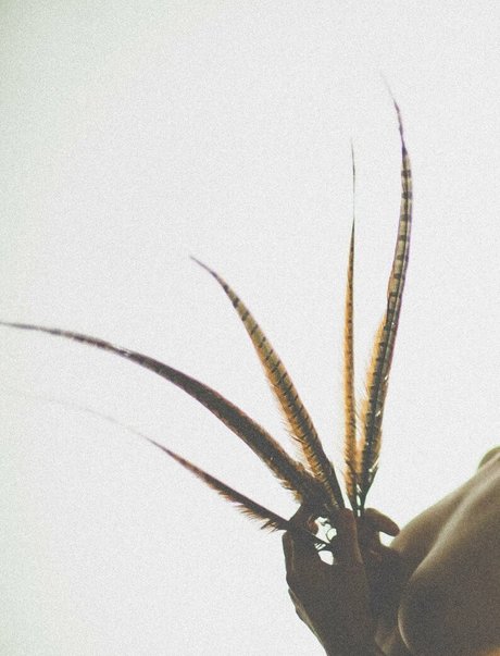 simonsaysarah model nice images