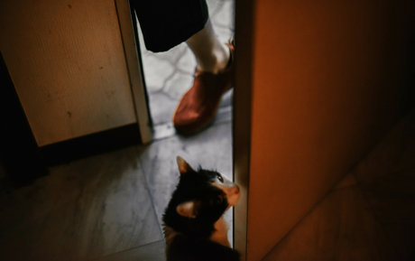 eeelyeee beautiful actress pictures