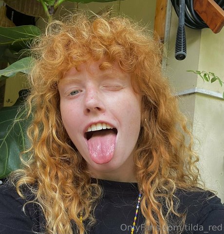 tilda red perfect star galleries