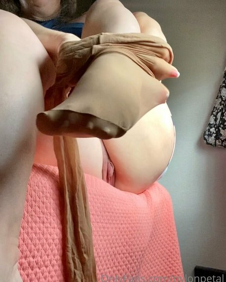 nylonpetal best star pictures