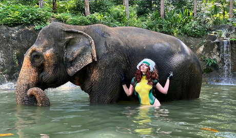 AGflower Cosplay Profile Photo