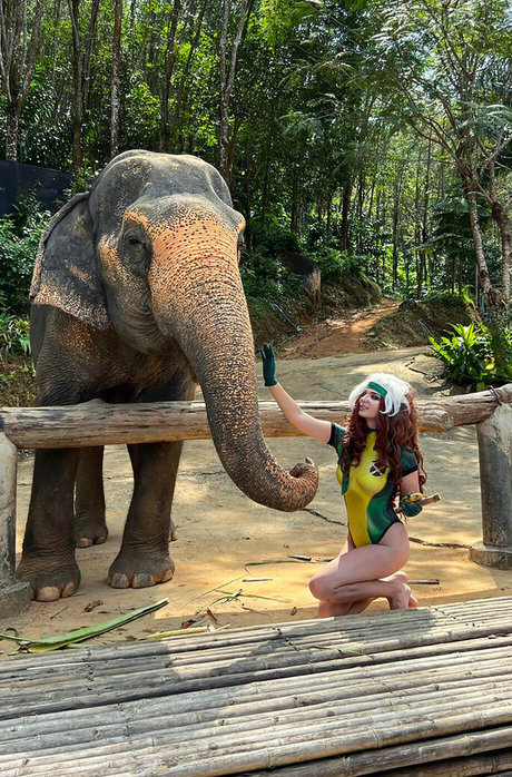 AGflower Cosplay pornstar beautiful img