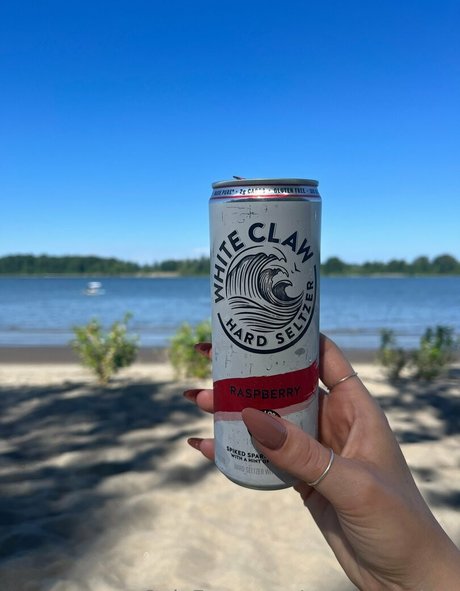 pottymouth h best star images