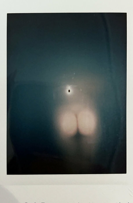 pottymouth h star beautiful archive