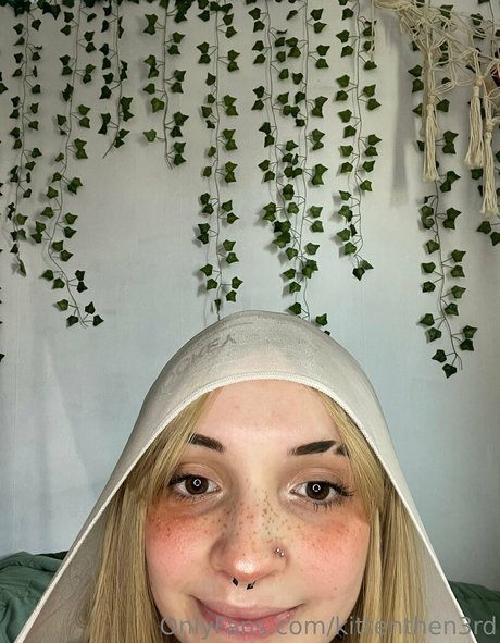 kittenthen3rd best star photo