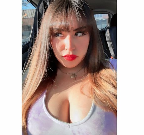 Wendymilkies star art galleries