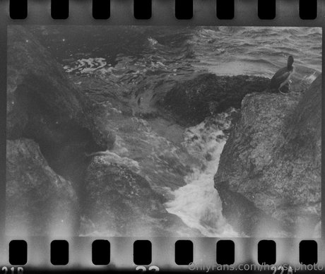 hanscphoto hd star archive