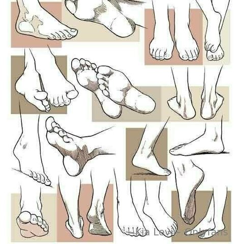 kialevi pornstar adult archive