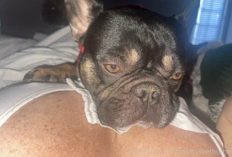 redhead creampie onlyfans art nude galleries