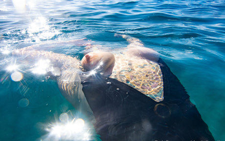 Danielle Colby model naked img