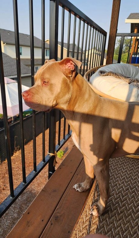 S and K pretty model pic