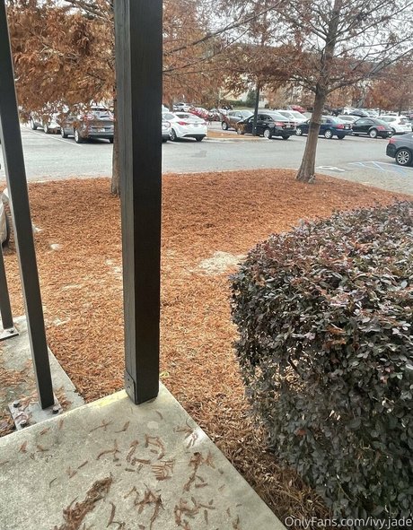 Ivy Jade beautiful pornstar archive