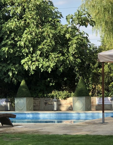 aldana30 star sexy photos