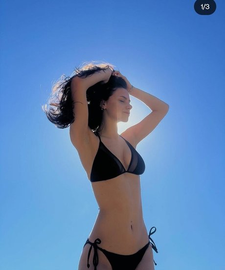 Nobosart beautiful star galleries