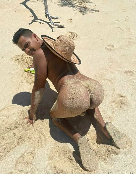 olivercolt star free photos