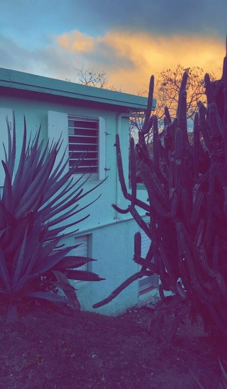 ravenhex3 pornstar pic