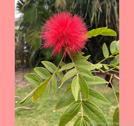 ravenhex3 model beautiful pictures