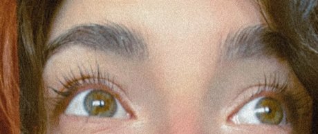 breebunn Profile Photo