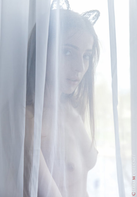 free bbw onlyfans art nude img