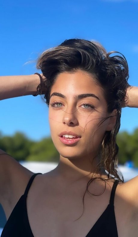 druflecha star top image