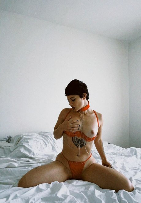 Marceli Cardozo star high quality photos