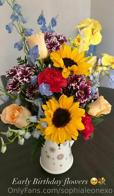 Sophialeonexo star perfect gallery