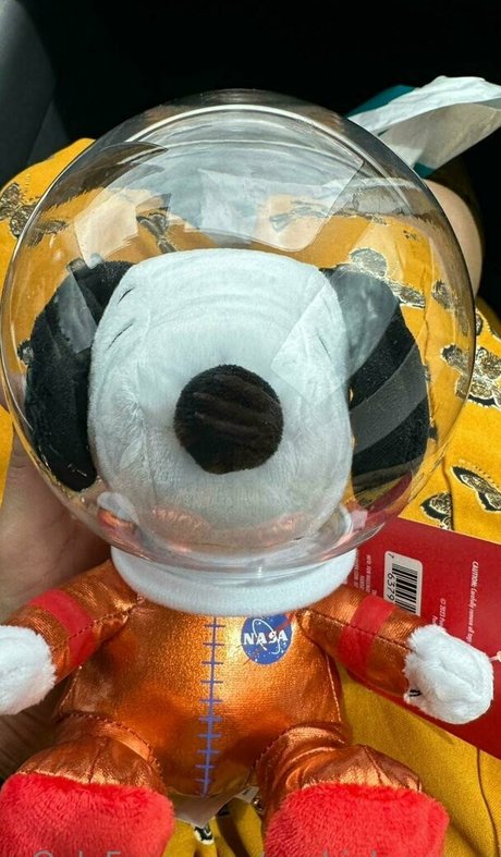 Sophialeonexo sexy pornstar photos