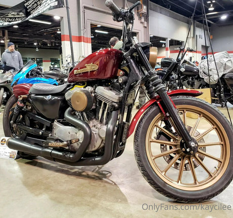 kaycilee best star pictures