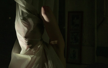 flexeducation model nice image