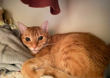 babe brunette onlyfans art xxx pics