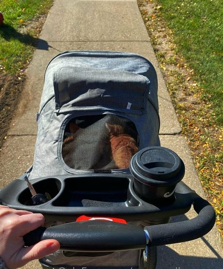 xxsacredhoneyxx hot pornstar archive