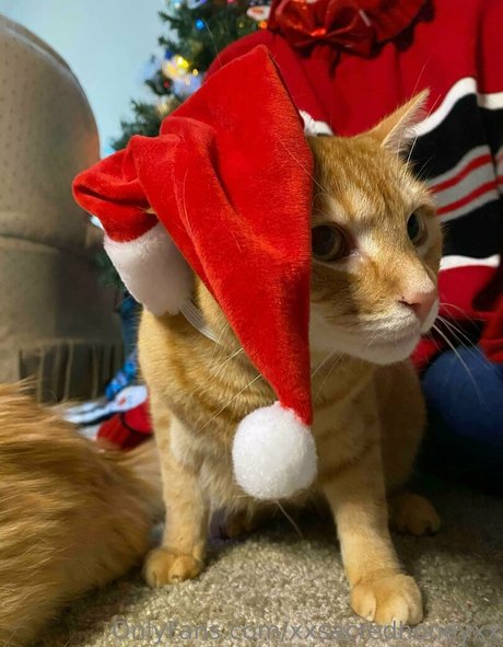 xxsacredhoneyxx star exclusive images