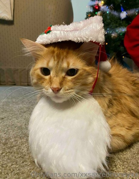 xxsacredhoneyxx star nice pic