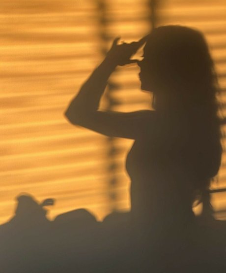 Paladinamber best star pictures