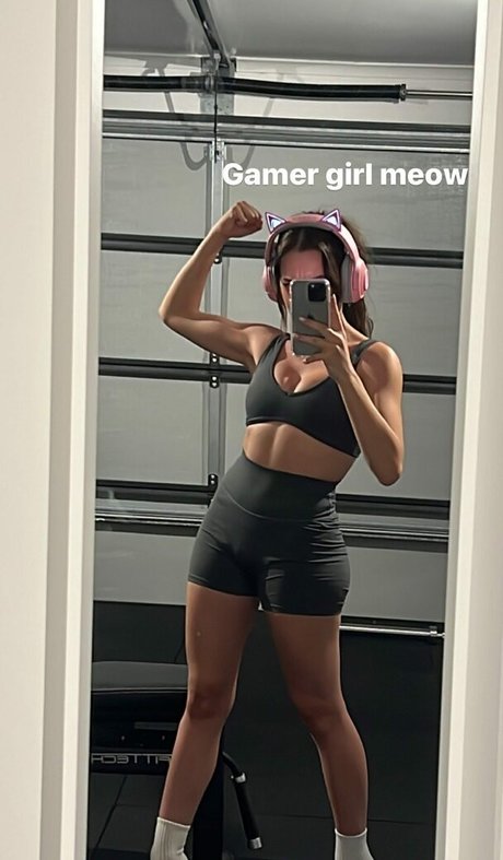 Paladinamber model exclusive gallery