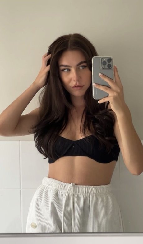 Paladinamber Photo Gallery