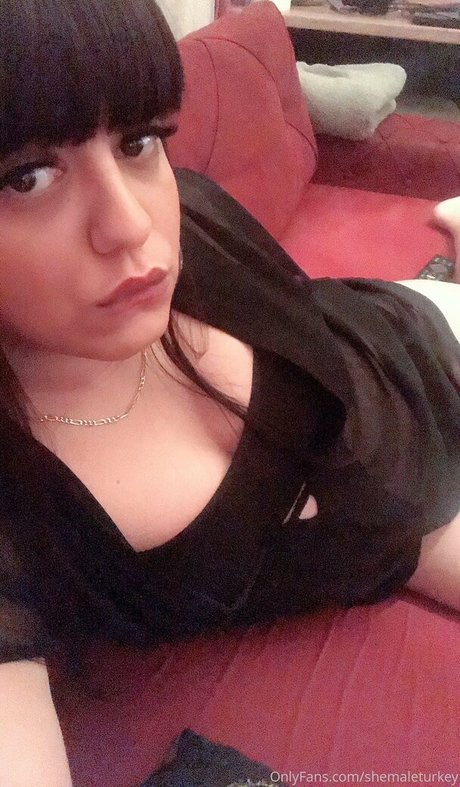 shemaleturkey model nice img