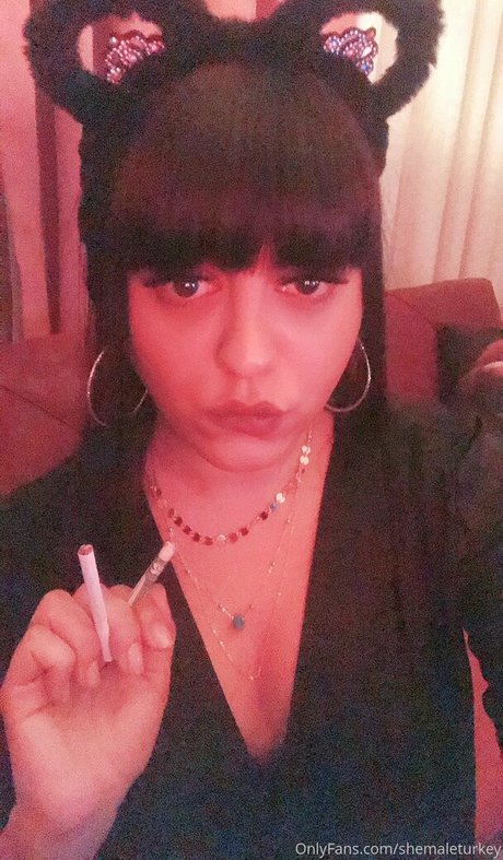 shemaleturkey Photo Gallery