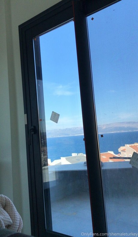 shemaleturkey pornographic actress gallery