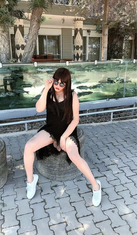 shemaleturkey pornstar galleries