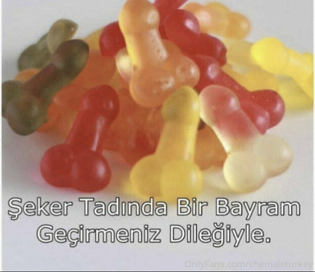 shemaleturkey high quality actress photo