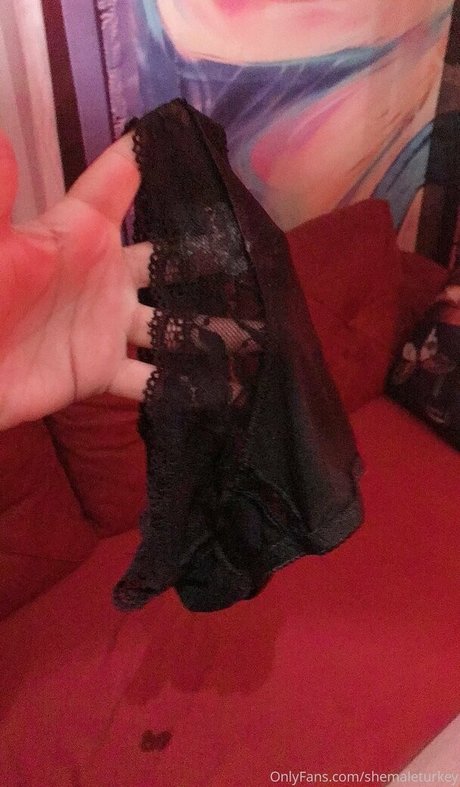 shemaleturkey star nudes picture