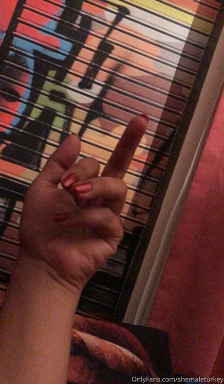 shemaleturkey top actress images