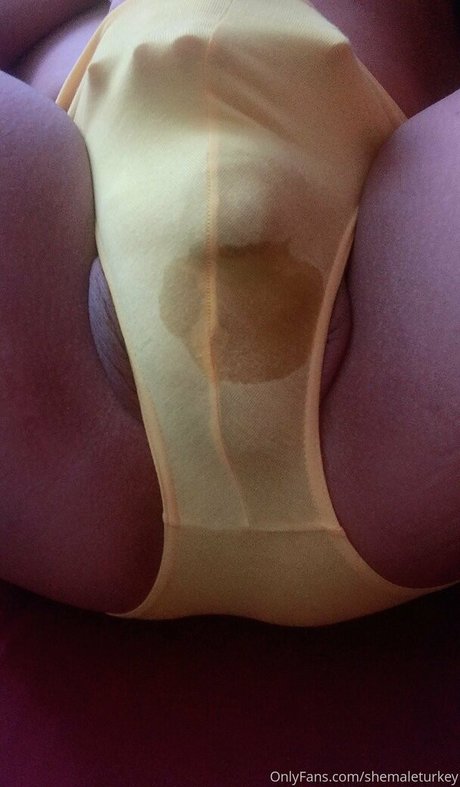 shemaleturkey nice pornstar galleries