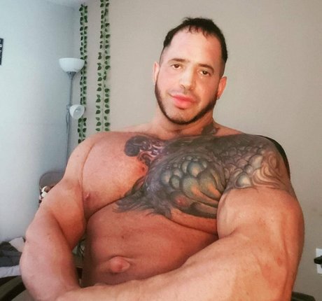 musclesexual top star pics